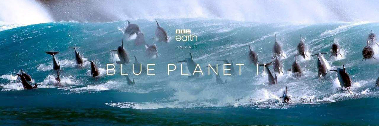 蓝色星球第二季
