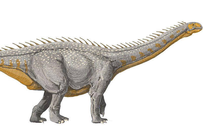 火山齿龙(vulcanodon)