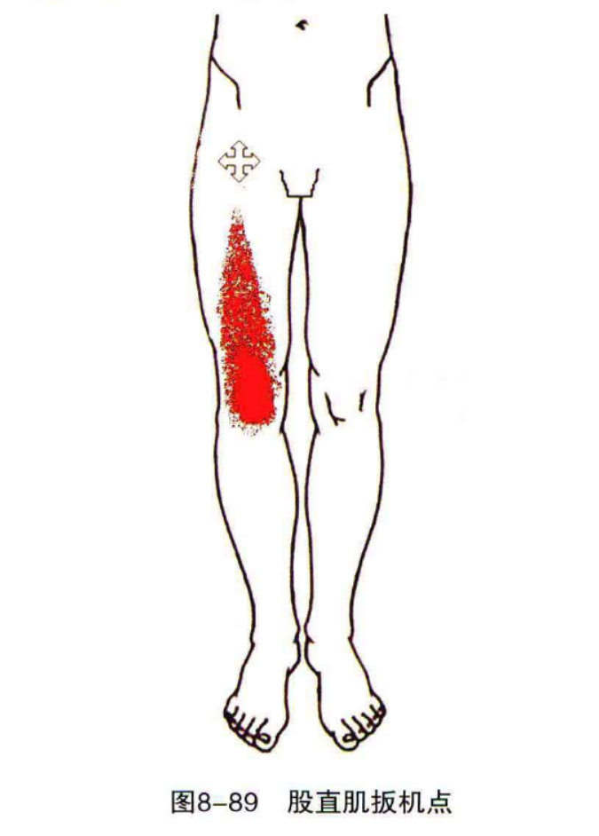 href="/item/大腿/10516157" data