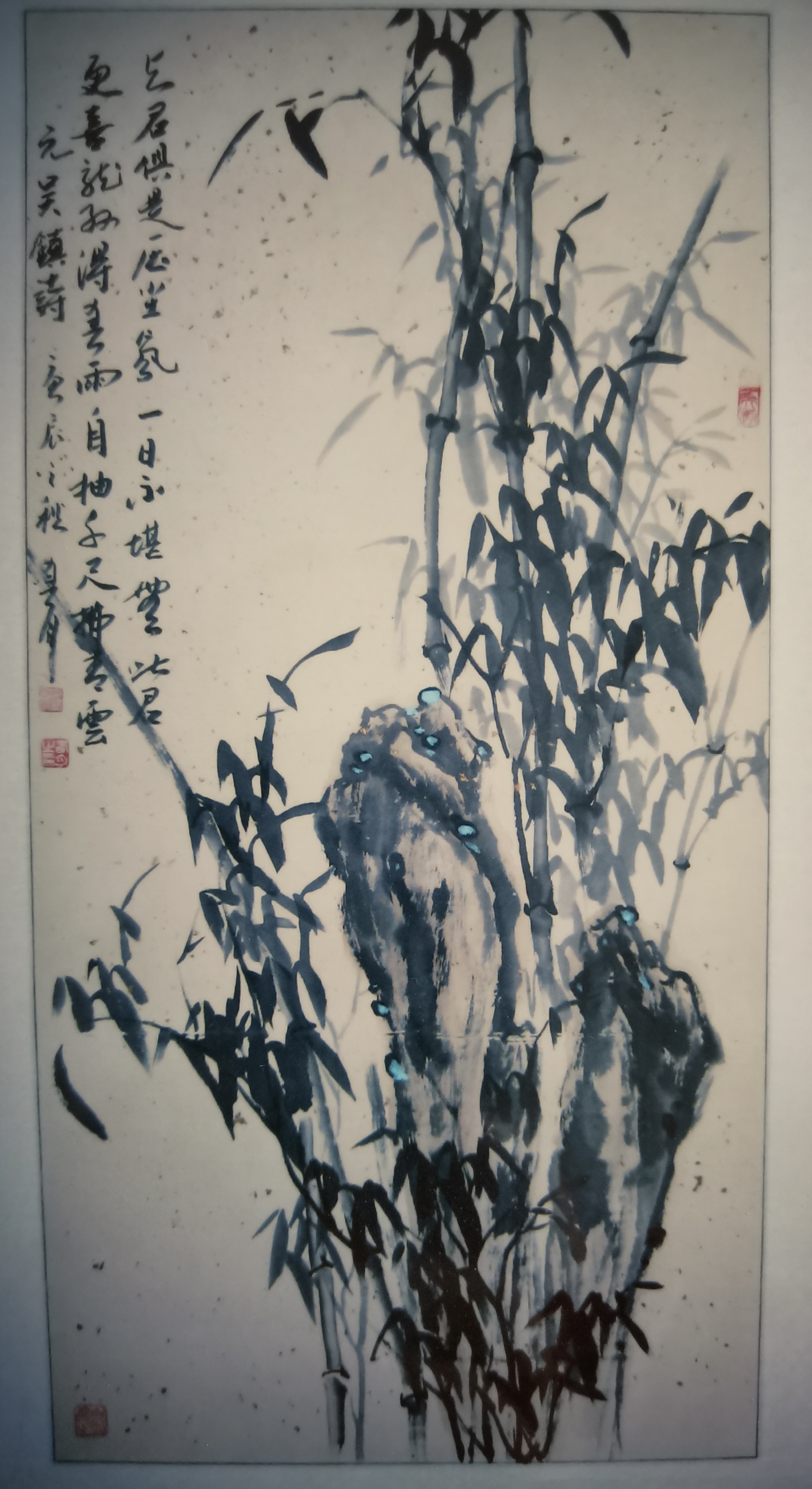 常春月