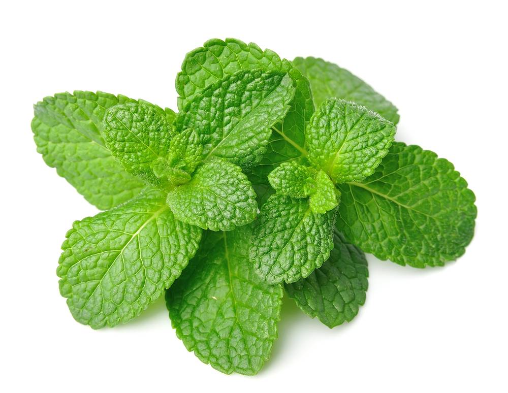 薄荷蒜泥拌茄子