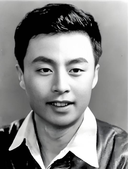 杨启天_百度百科