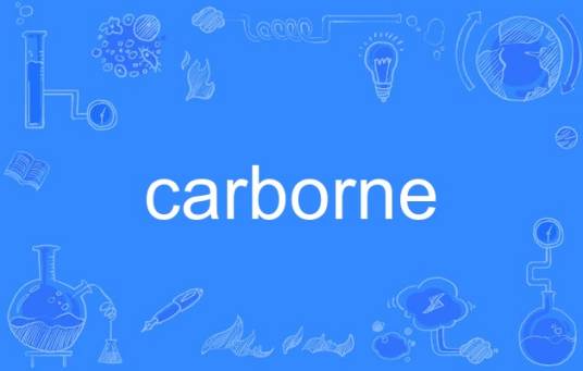 carborne_百度百科