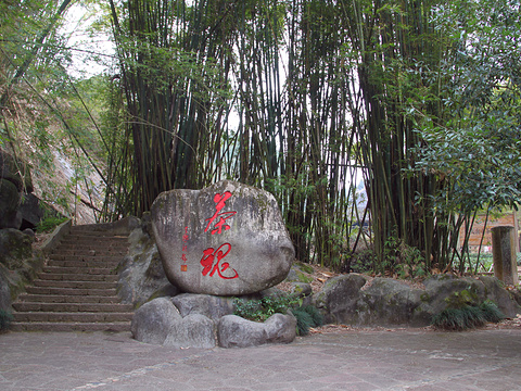  p>御茶园遗址 位于四曲溪南,与五曲接壤,依山傍水,绿畦平展,现为武夷