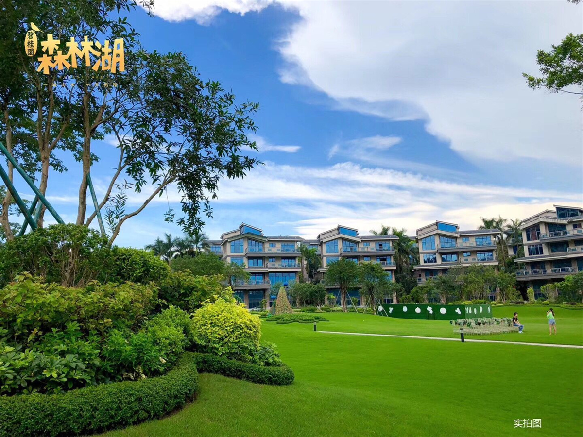  p>碧桂园森林湖,位于惠州惠阳永湖,作为惠湾首个千亩田园综合体,前拥