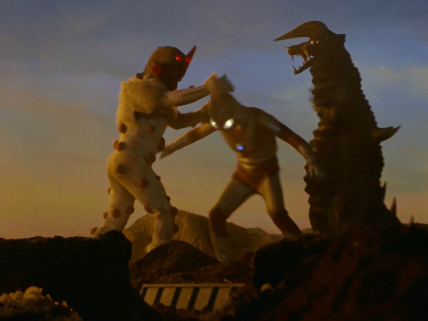 布莱克王第一代