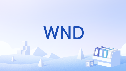 WND_百度百科