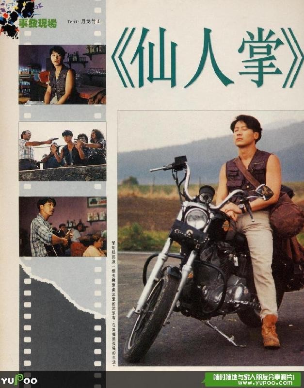  p data-id="gnx4zc9hde">《仙人掌》是1994年上映的中国剧情电影,由