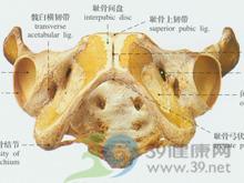  p>骨盆入口,中骨盆及出口平面均狭窄时,称均小型狭窄.