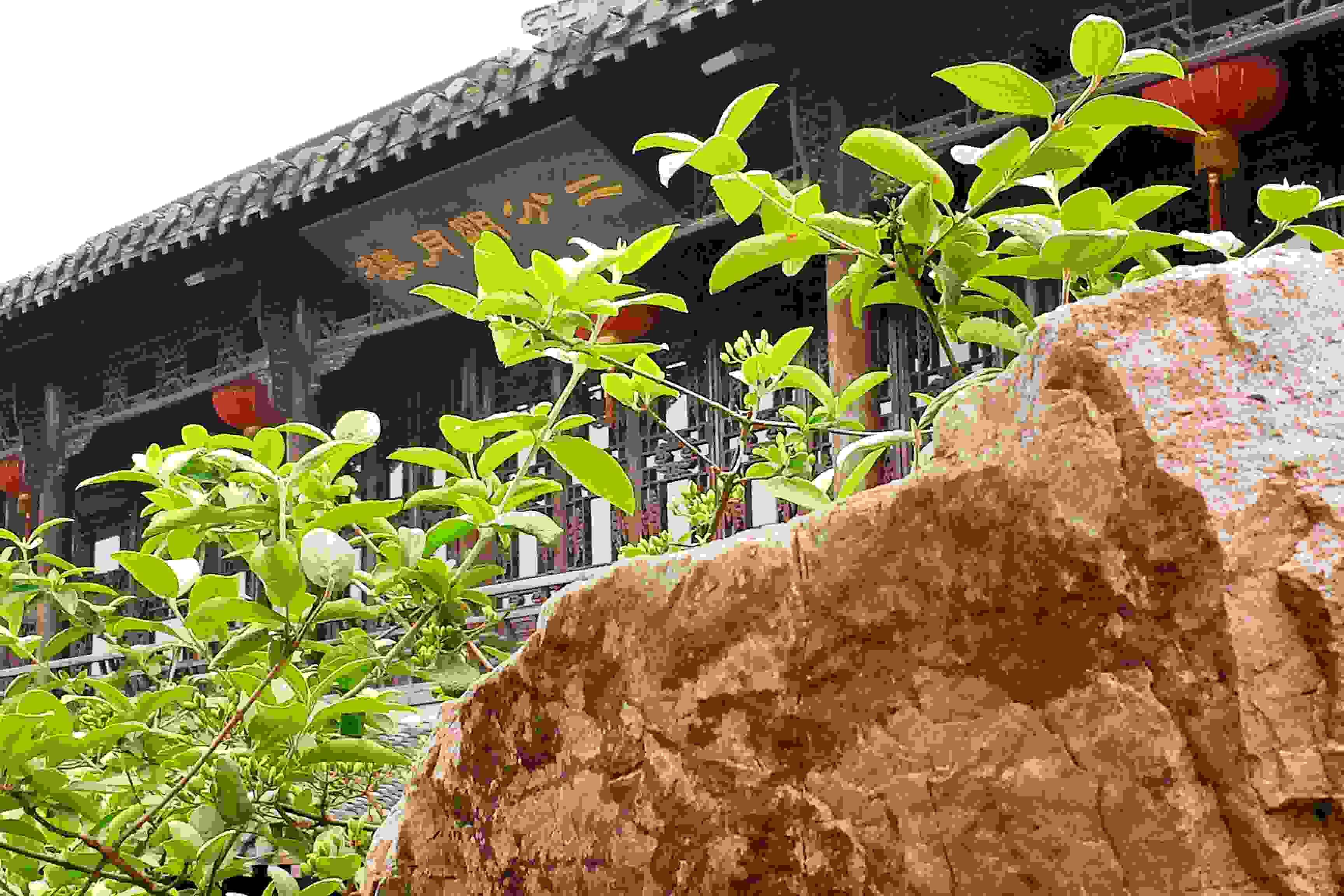  p data-id="gnx0l6b2tf">扬州二分明月楼,以著名诗句天下三分明月夜
