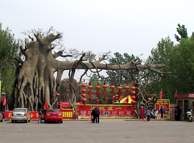  p>葡香园位于临清市市区东部,温泉路东首北侧,建于2001年,占地面积20