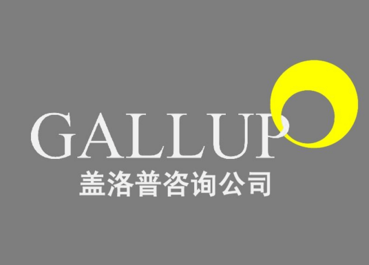 盖洛普咨询公司_百度百科