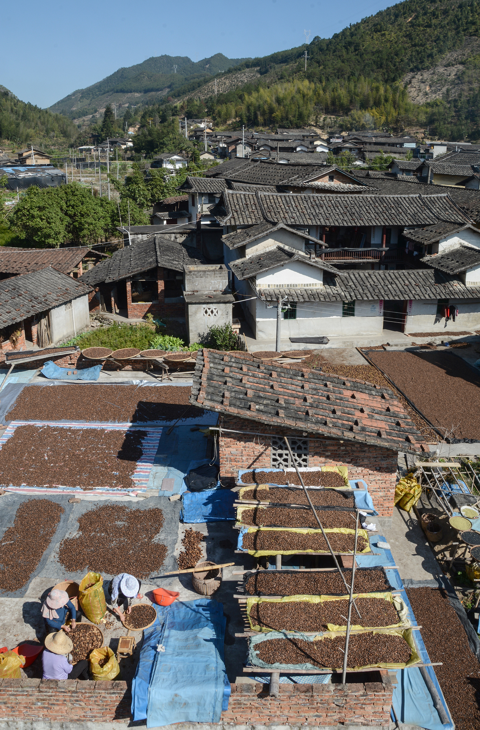  p data-id="go069pd3h7">新桥镇,隶属于福建省龙岩市漳平市,地处 a