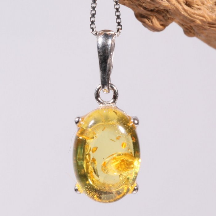  p data-id="gnwnibpsy4">柏吉尔 ( 1804～1882),德国科学家, a