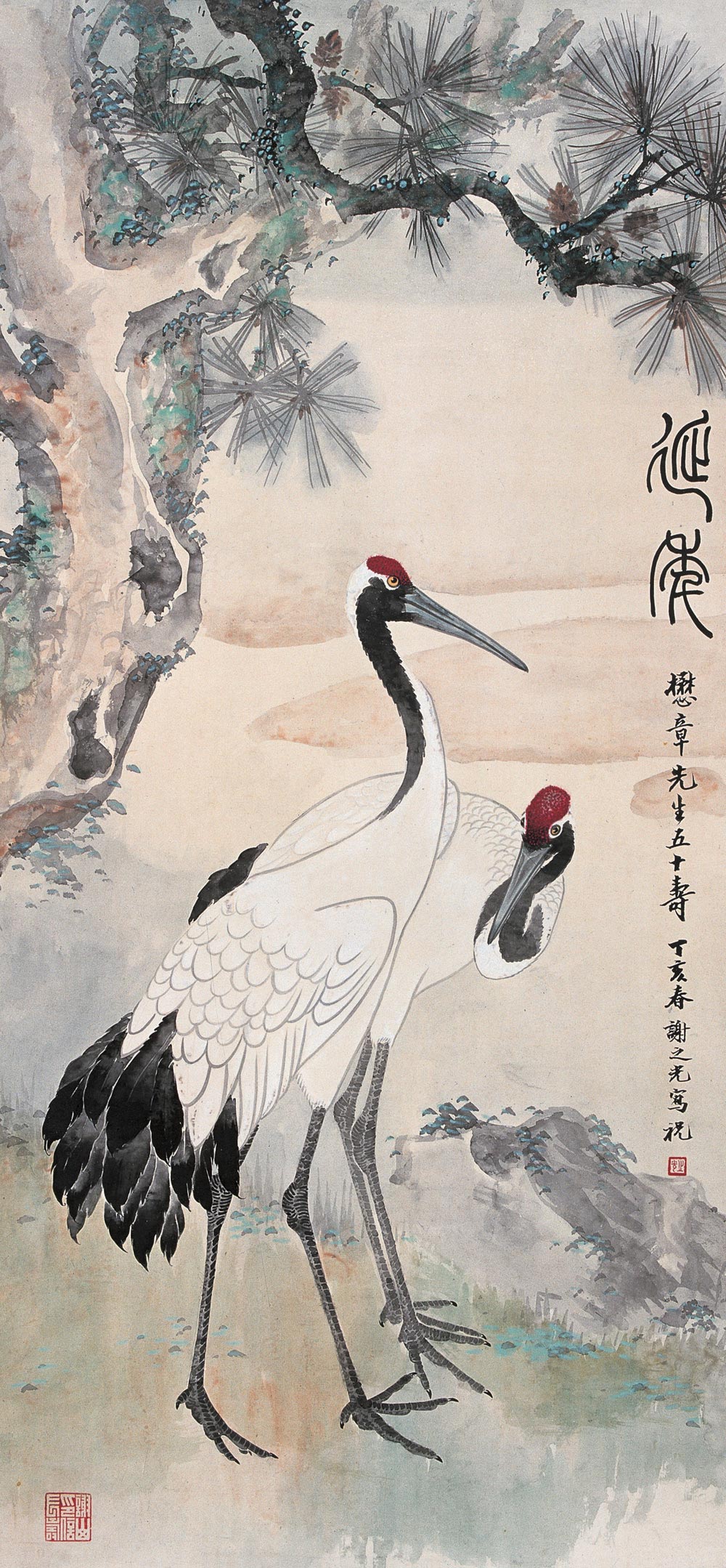 谢之光