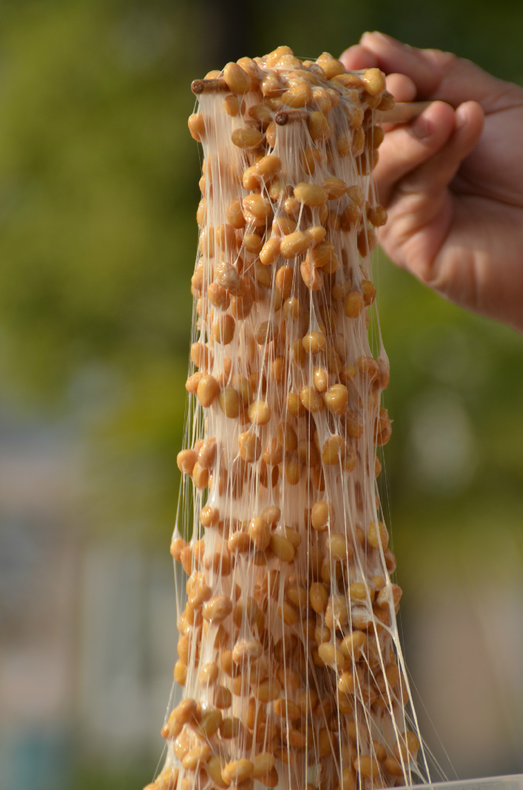 极品纳豆做法与鉴赏