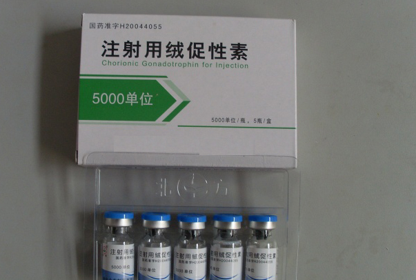  p>绒促性素是胎盘产生的一种糖蛋白激素,系由孕妇尿中提得.