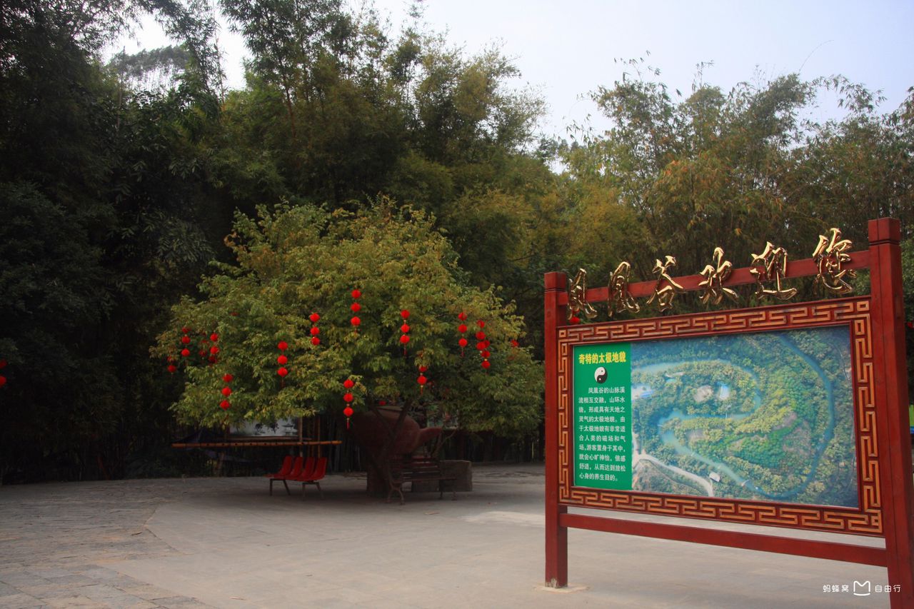 data-lemmaid="7179033">兴宁区 /a>四塘凤凰谷,国家级aaa景区,广西