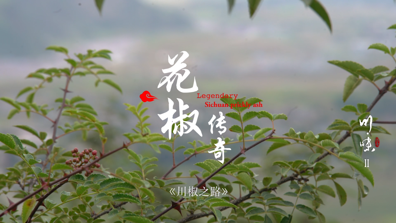  p>《川味第二季》是一部探讨中国人与美食的关系的食物纪录片,记录