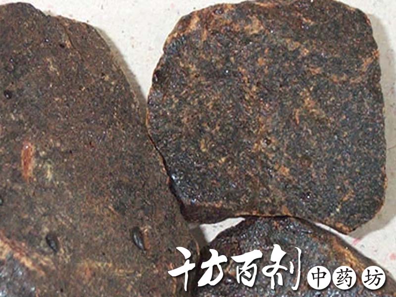 儿茶