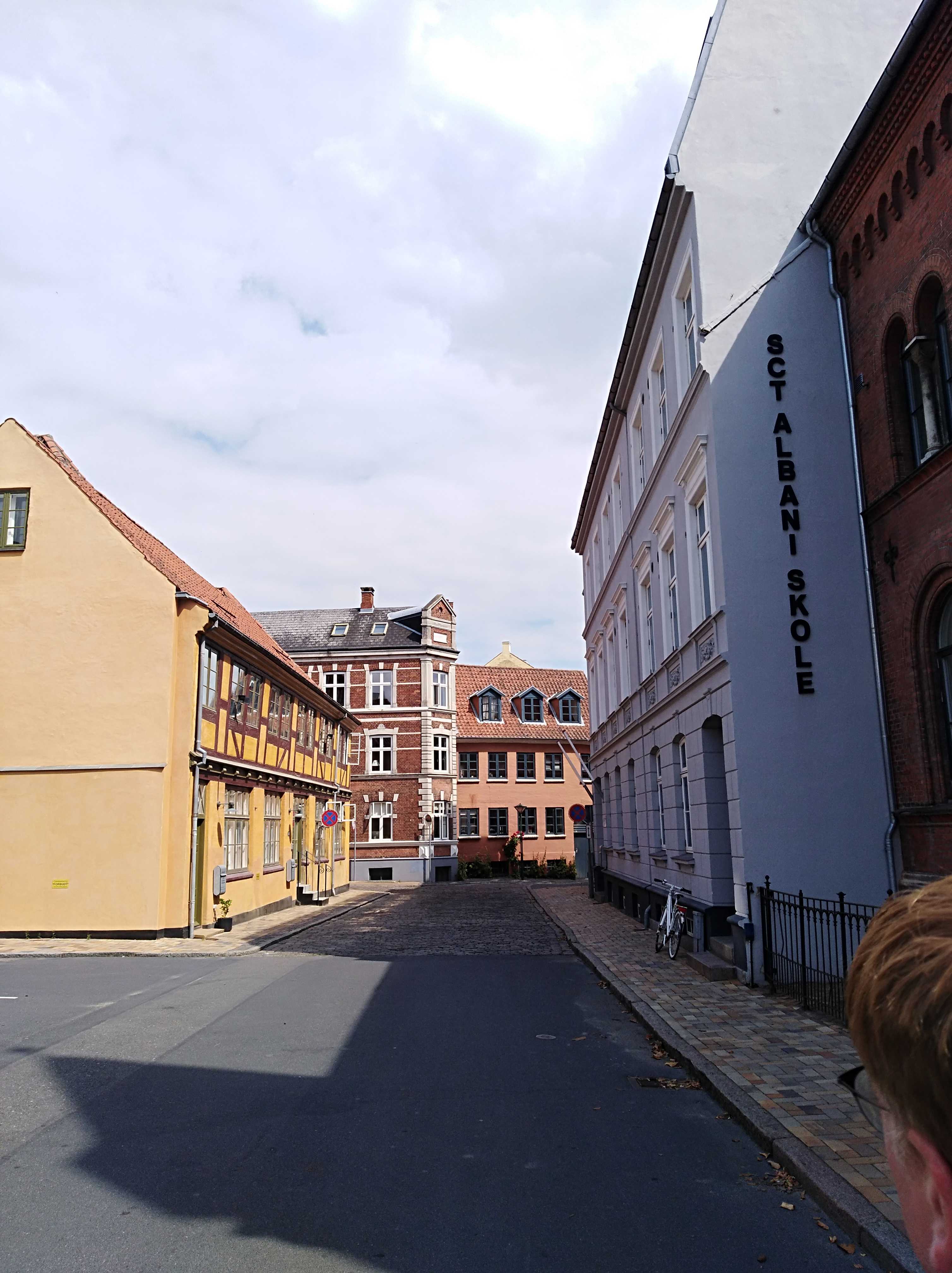 丹麦菲英岛欧登塞