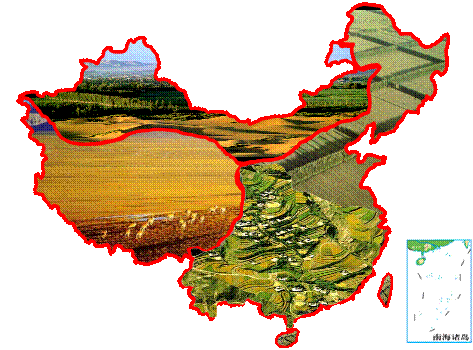 soil),又称"荒境土",是干旱地区所发育的地带性土壤,也是温带荒漠植被