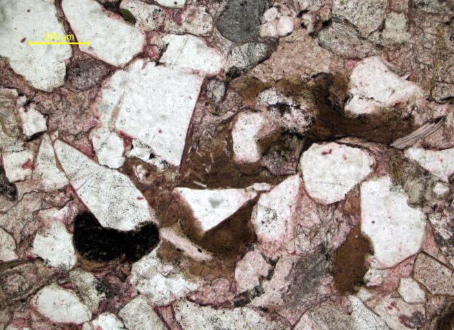 以灰绿,灰黄绿色,浅肉红色长石砂岩为主,夹深灰绿色页岩及煤线的