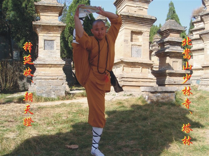 少林五行八法拳