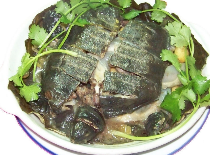  p>清蒸水鱼是一款菜品,制作原料主要有甲鱼,香菇,鸡肉·等. /p>