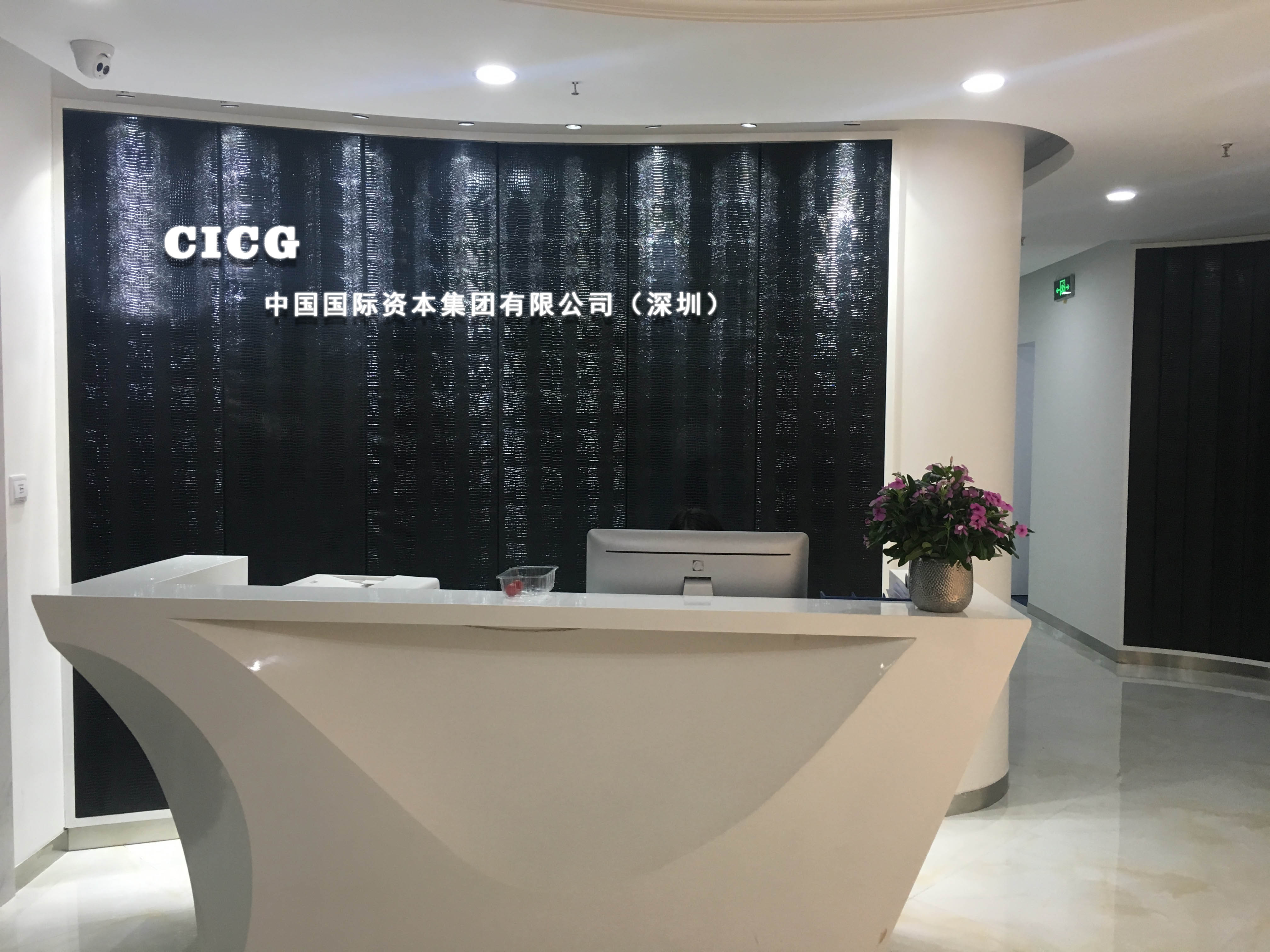  p>中国国际资本集团有限公司由国内外金融机构和公司基于战略合作