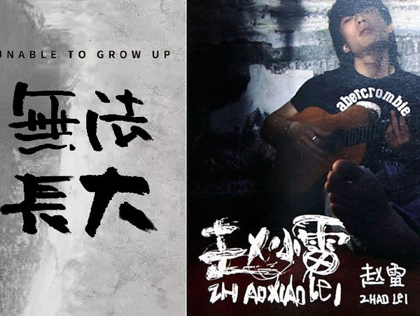 《无法长大》是歌手 a target="_blank" href="/item/赵雷/9009900"