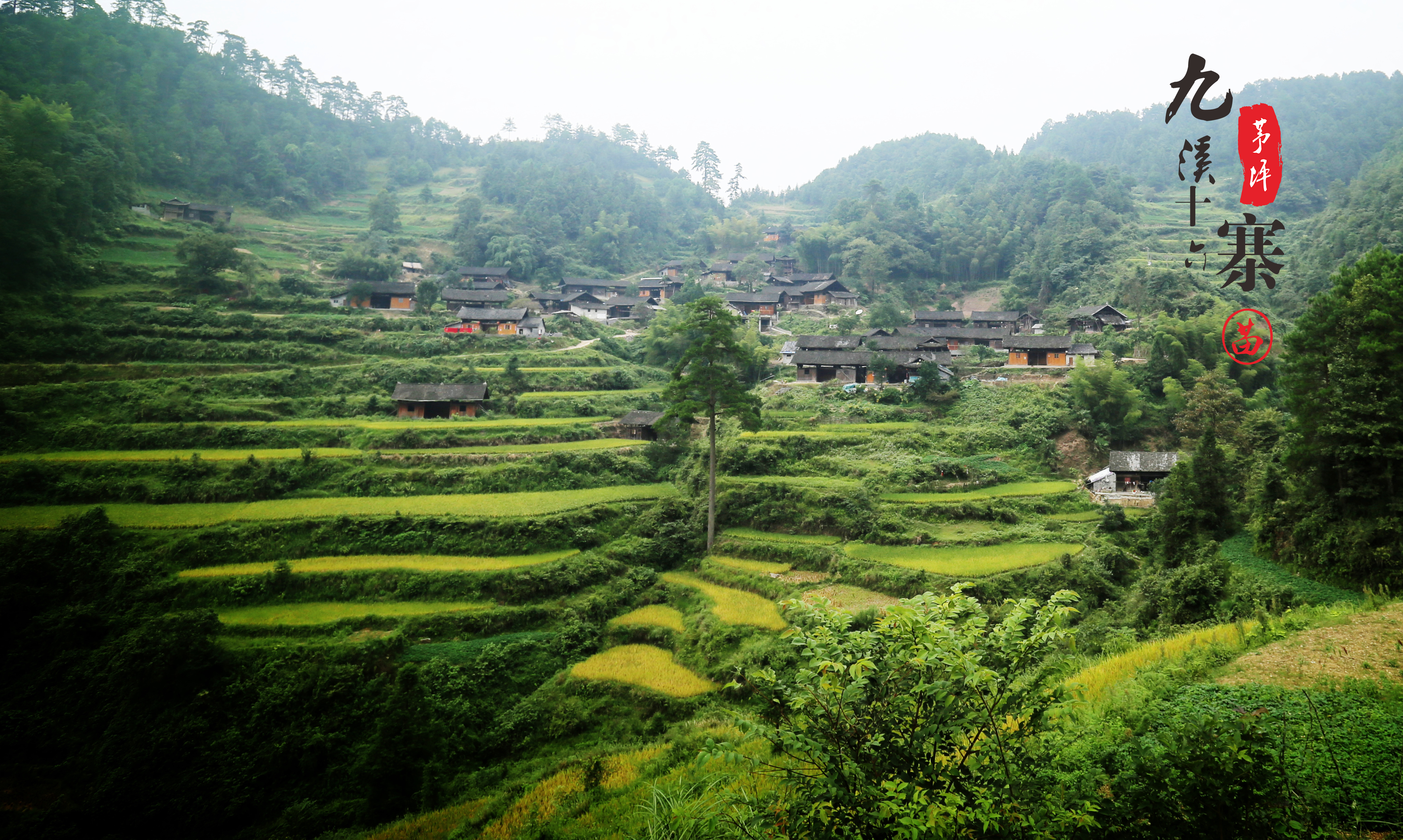 九溪十六寨