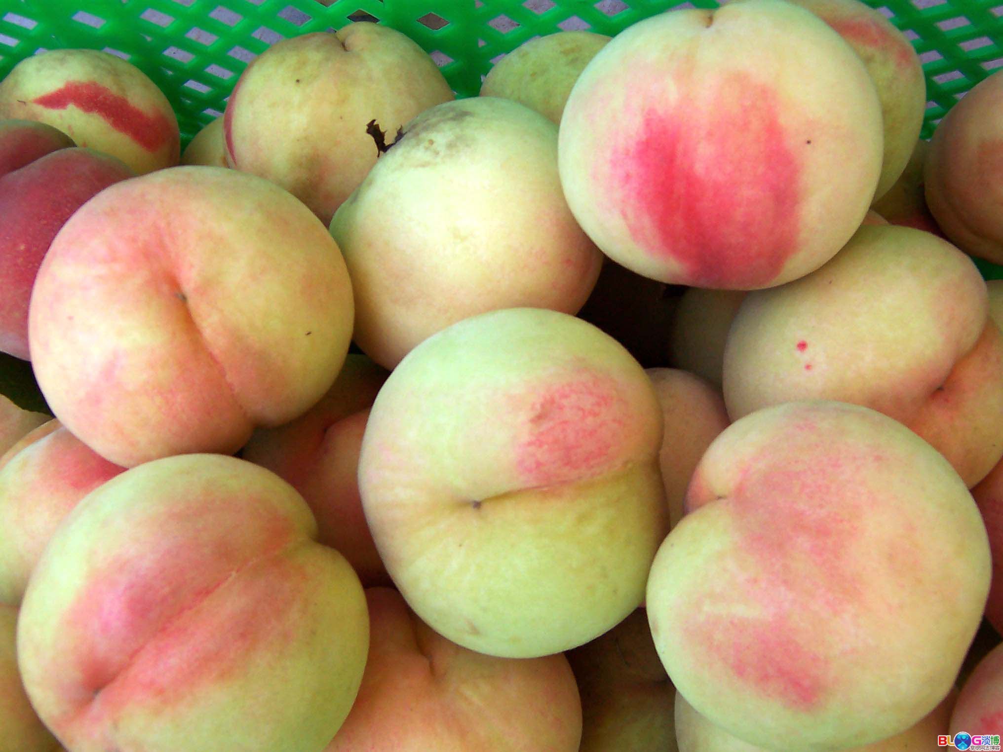 山东省泰安市 a href="#" data-lemmaid="2096967">肥城市 /a>特产