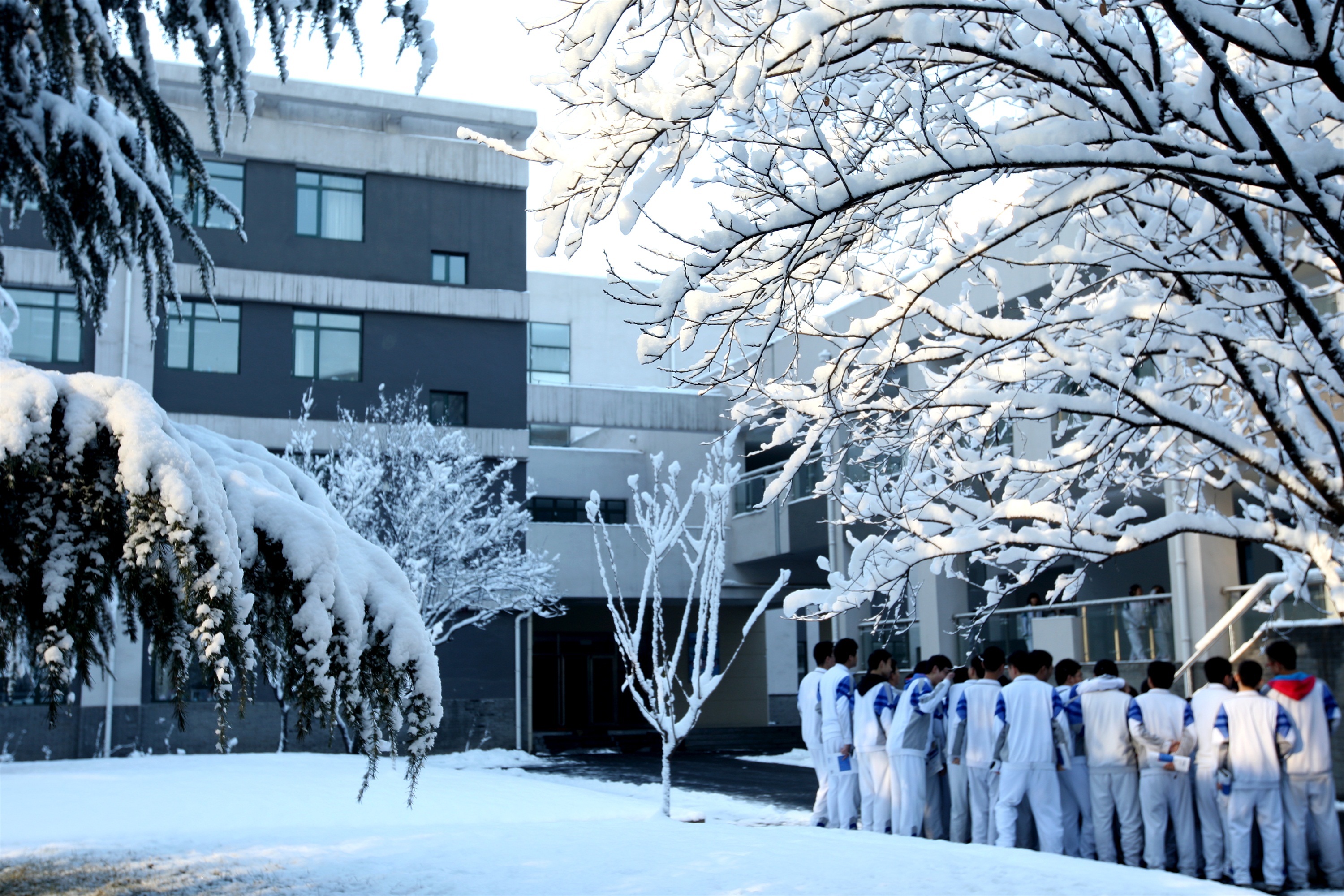  p> 北京市八一学校(beijing bayi high school),简称"八一学校",是一