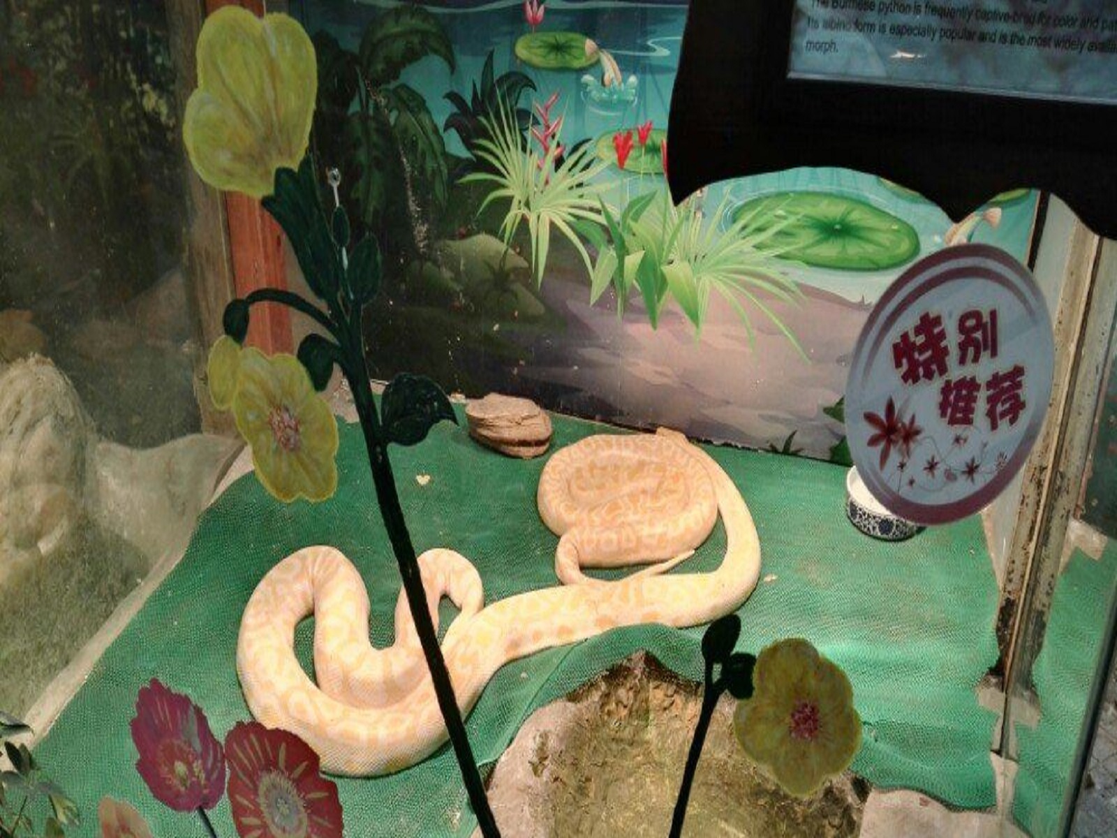 上海昆虫馆博物馆