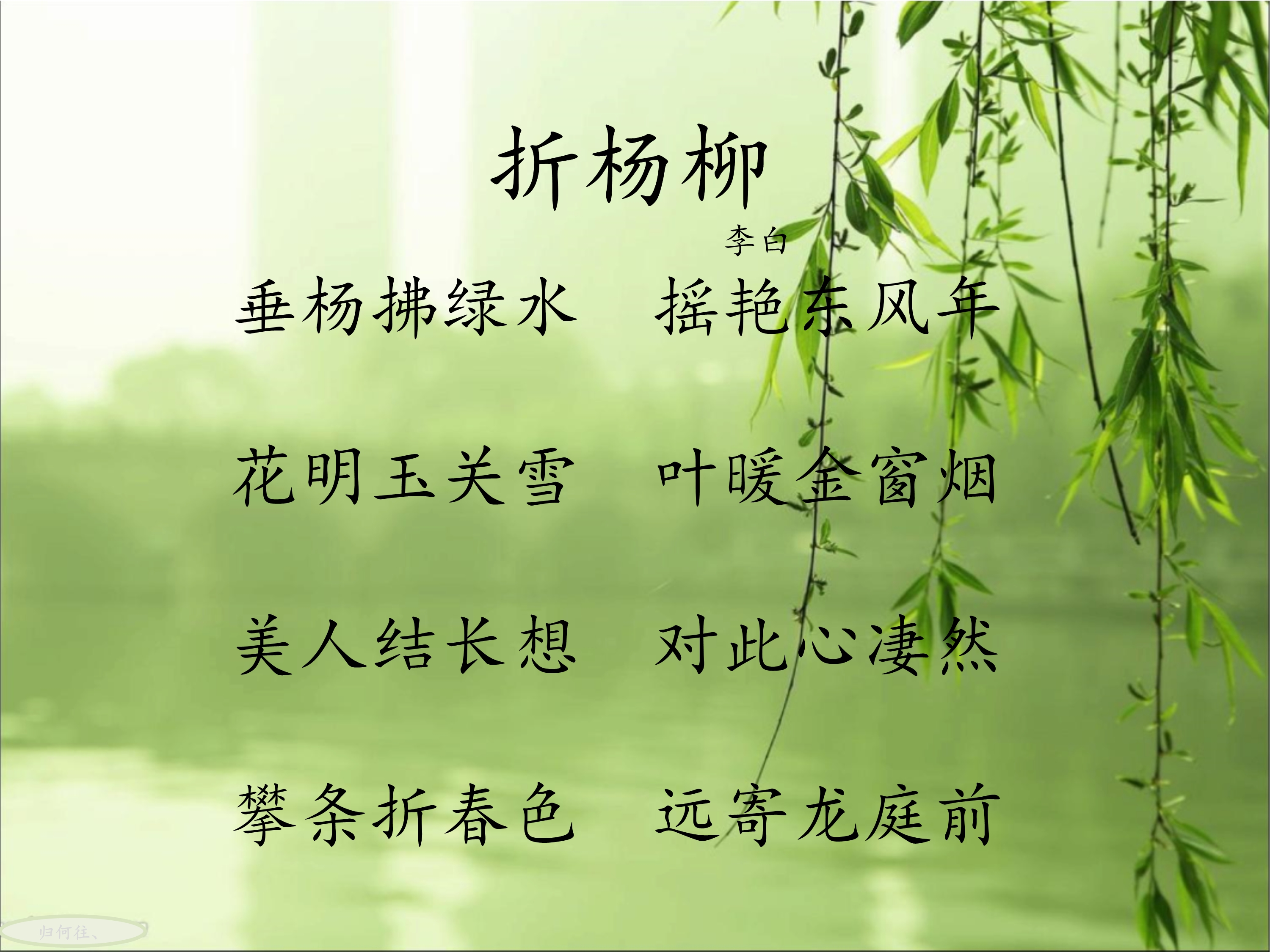 折杨柳