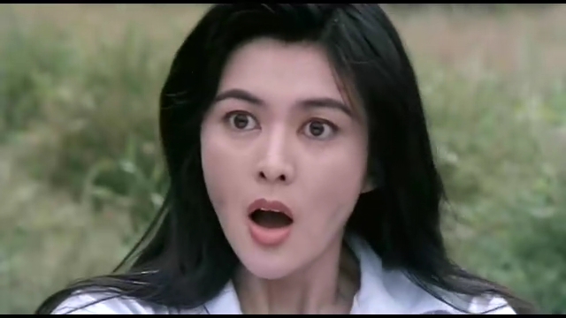 114923">刘德华 /a>, a target="_blank" href="/item/关之琳/343648"