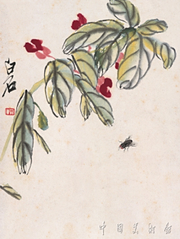 红花苍蝇