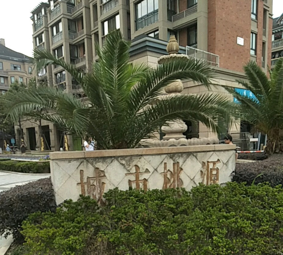城市桃源