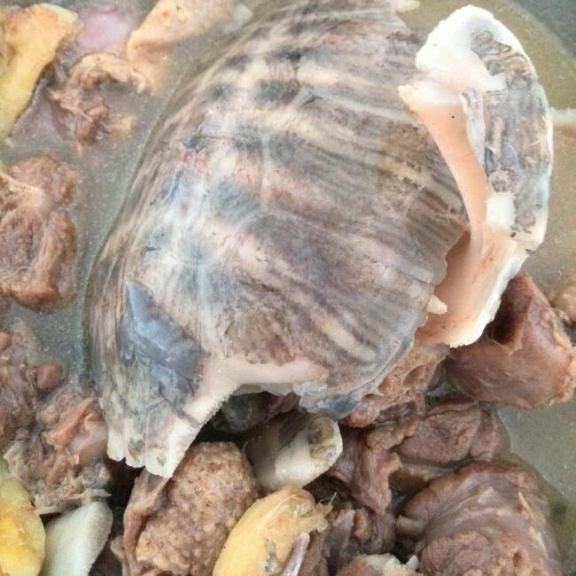 清炖乌龟