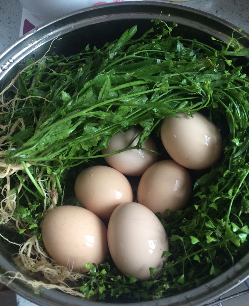  p data-id="gnx2bstv78">荠菜花煮蛋是指用荠菜花和鸡蛋一起放在带水