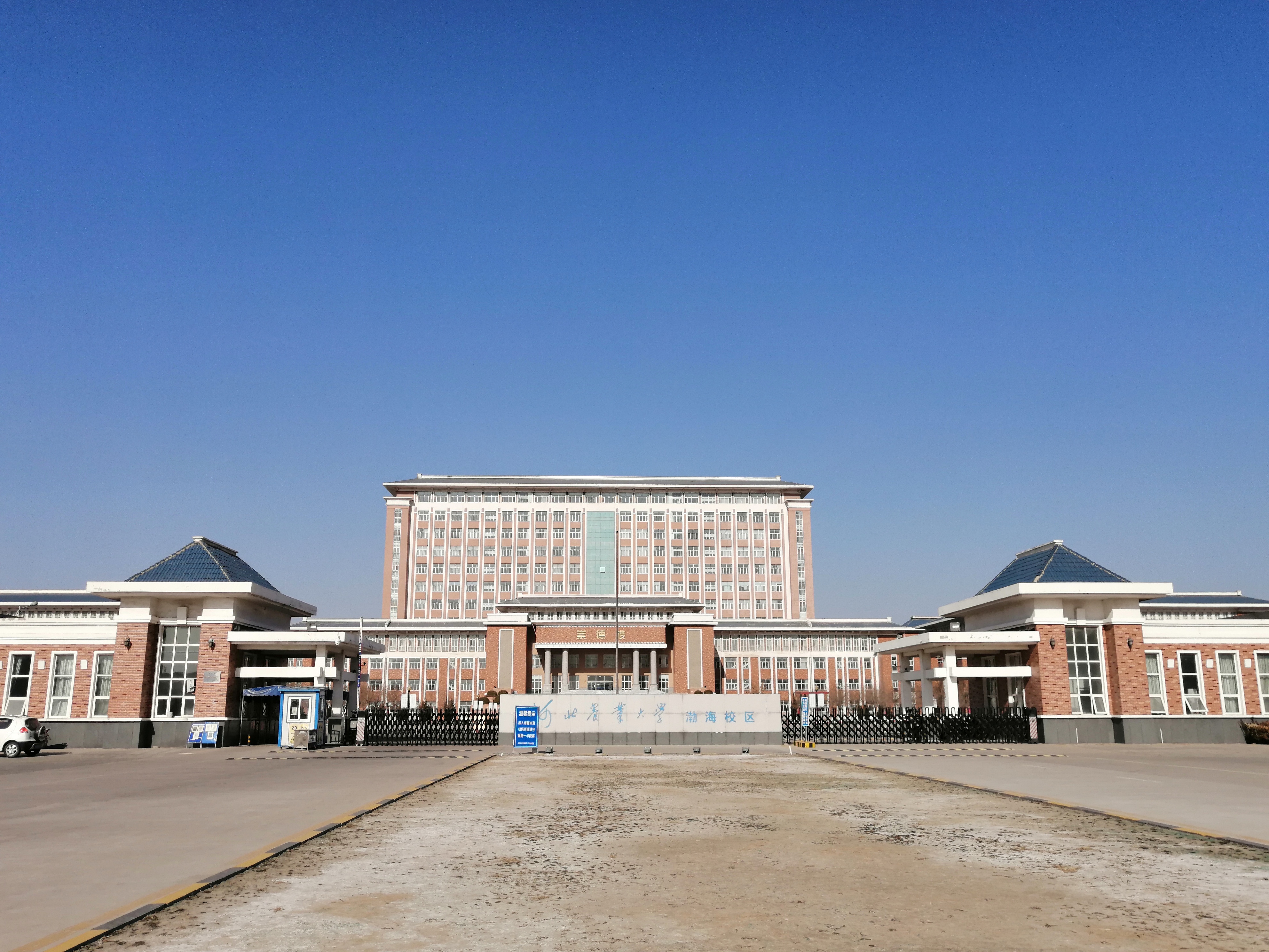 河北农大渤海