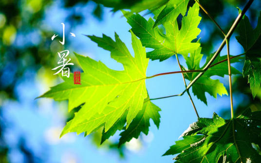 小暑 二十四节气之一 百度百科