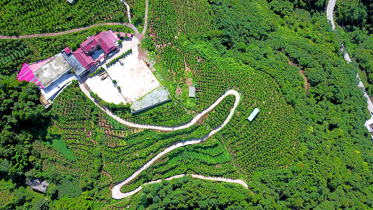  p>藤茶山庄,位于凤阳山风景区,凤阳至韭山洞,狼巷迷谷旅游干道旁,距