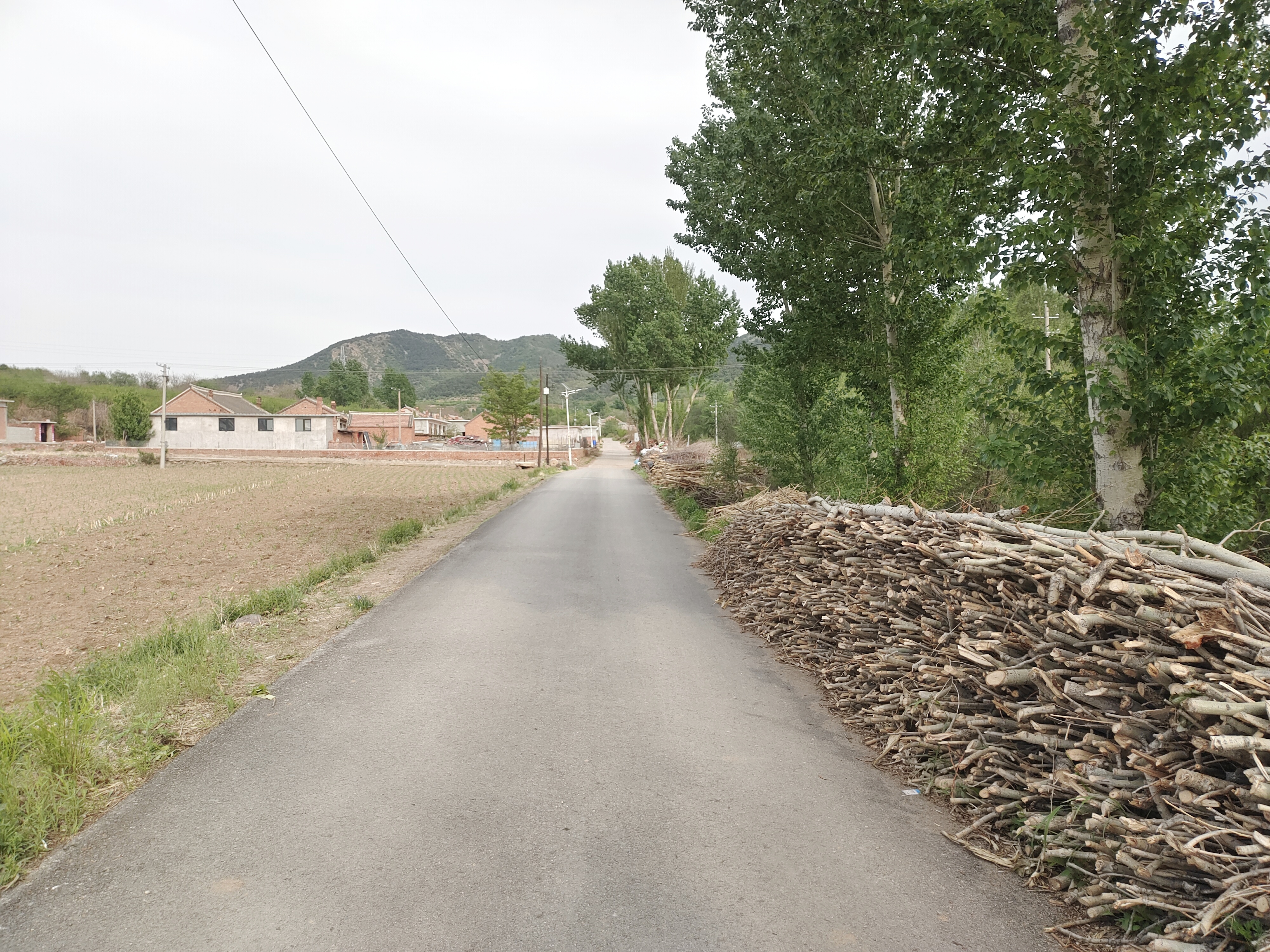 小路
