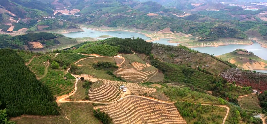 地处天峨县西部,东与 a target="_blank" href="/item/六排镇/20722