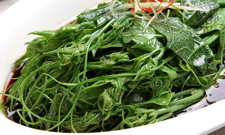 庆元龙须菜