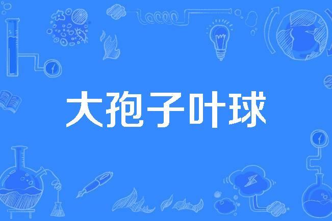  p>大孢子叶球(ovulate strobilus)是2019年公布的 a target="_blank"