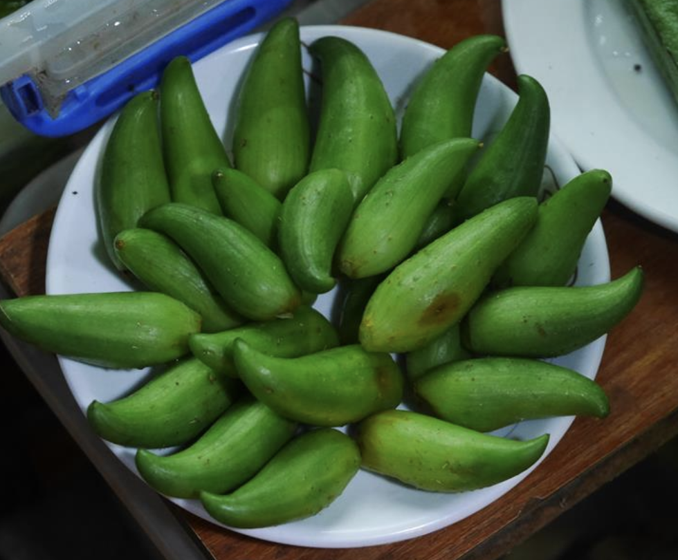 schrad.)是葫芦科,小雀瓜属植物.