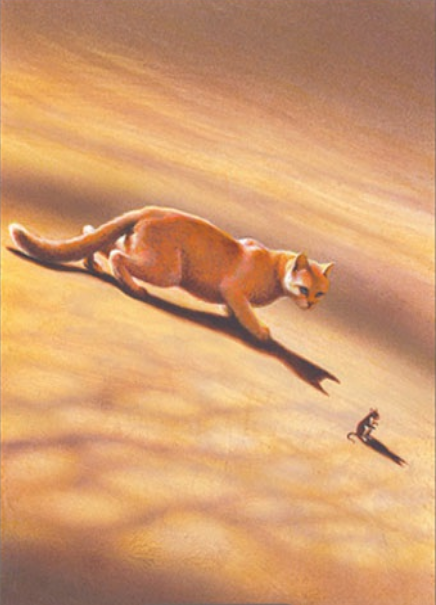 艾琳·亨特作品《 a target="_blank" href="/item/猫武士/4739018"